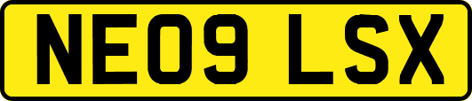 NE09LSX