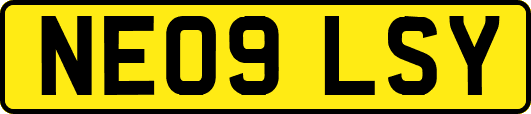 NE09LSY