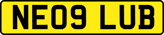 NE09LUB
