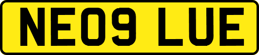 NE09LUE