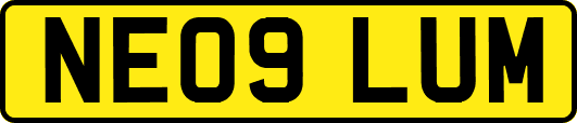 NE09LUM