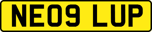NE09LUP