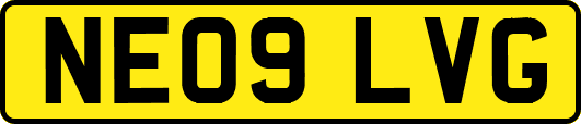 NE09LVG