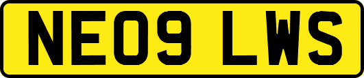 NE09LWS