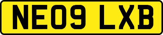 NE09LXB