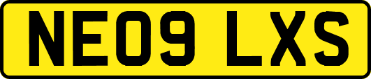 NE09LXS