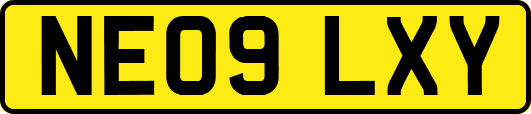 NE09LXY
