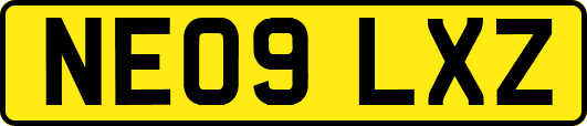 NE09LXZ