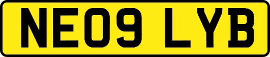 NE09LYB