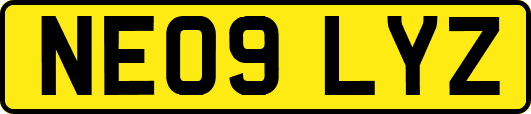 NE09LYZ