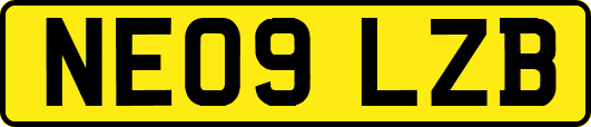 NE09LZB