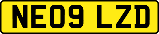 NE09LZD
