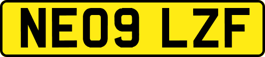 NE09LZF