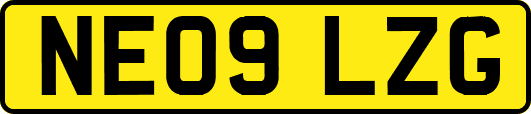 NE09LZG