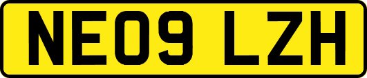 NE09LZH
