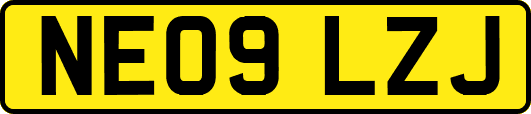 NE09LZJ