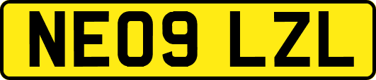 NE09LZL