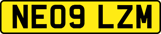 NE09LZM