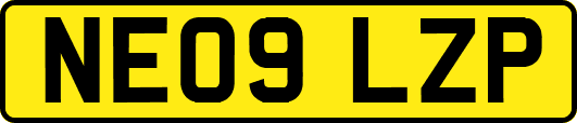 NE09LZP