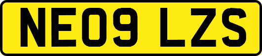 NE09LZS