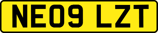 NE09LZT