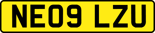 NE09LZU