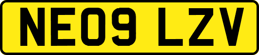 NE09LZV