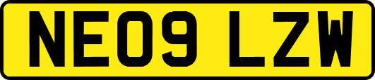 NE09LZW