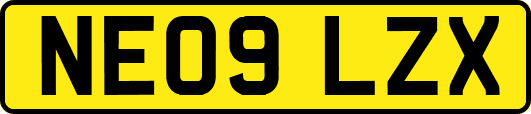 NE09LZX