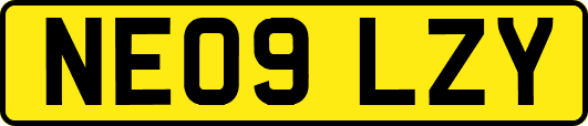 NE09LZY