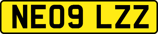 NE09LZZ