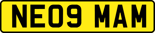 NE09MAM