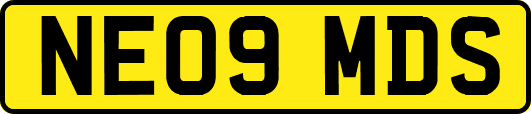 NE09MDS