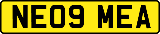 NE09MEA