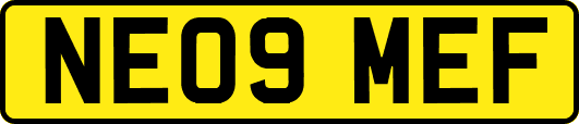 NE09MEF