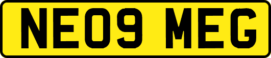 NE09MEG