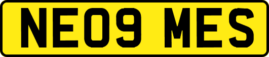 NE09MES