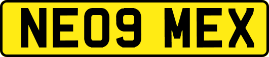 NE09MEX