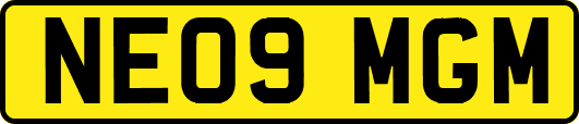 NE09MGM
