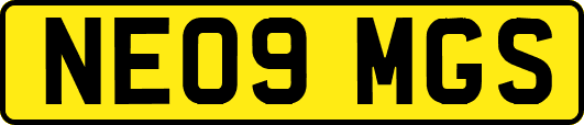 NE09MGS