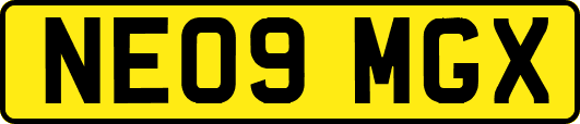 NE09MGX