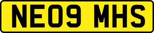 NE09MHS