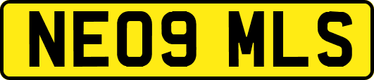 NE09MLS