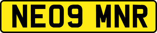 NE09MNR