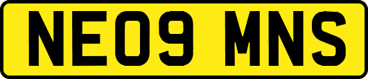 NE09MNS