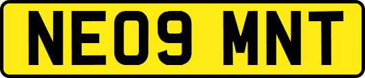 NE09MNT