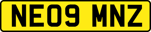 NE09MNZ