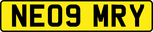 NE09MRY