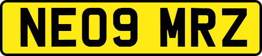 NE09MRZ