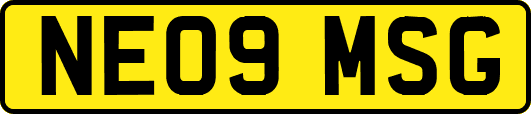 NE09MSG